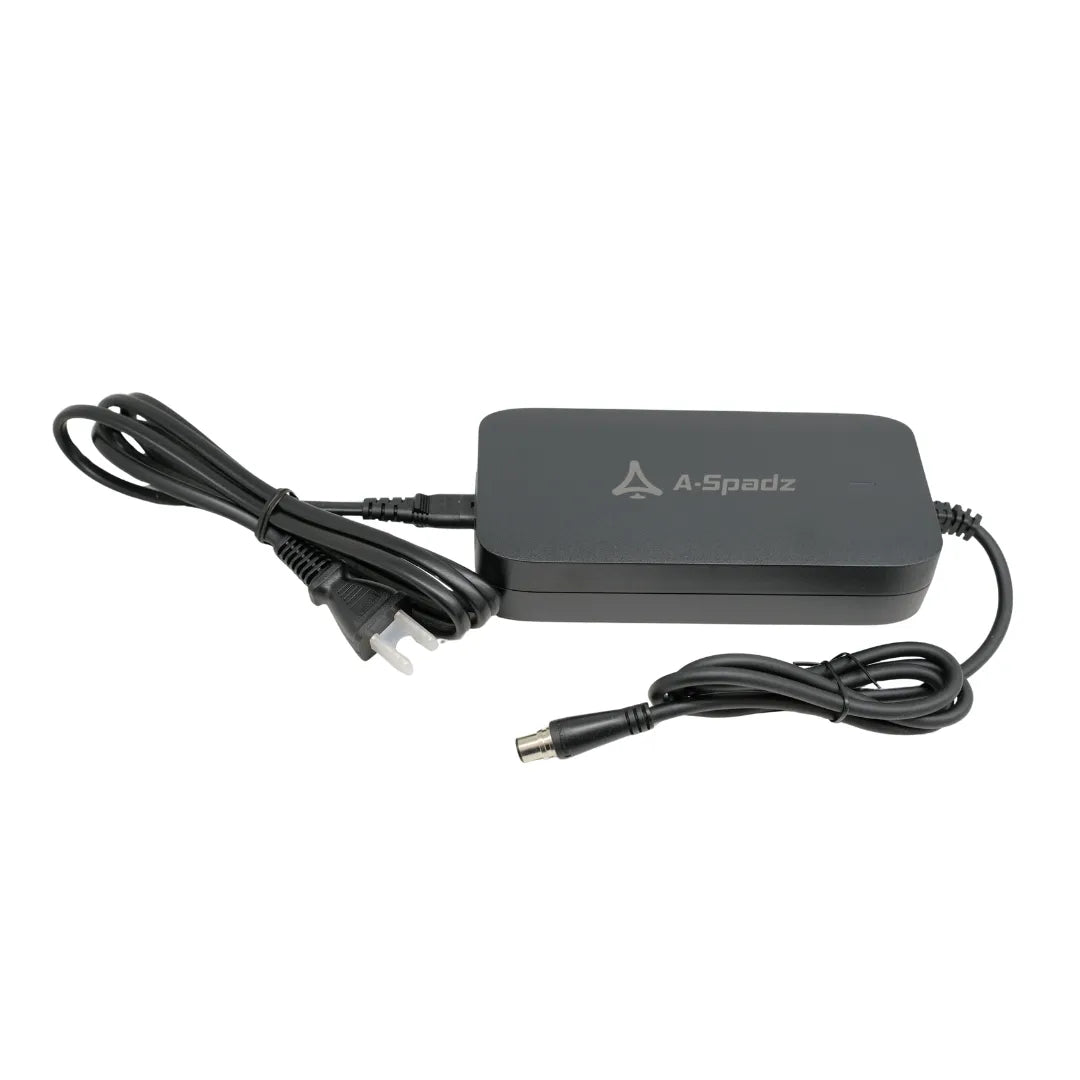 Charger * Delivery in late July